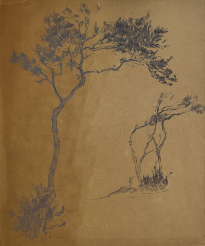 1925 - Alberi a Procida
